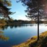 Blattnicksele Camping Fiskecamp