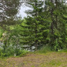 Bönälvens Naturrastplats