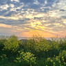 Borgholms G&auml;sthamn