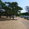 Trelleborg Strand Camping - Stellplatz und Zeltwiese