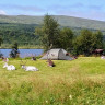 Fjällnäs Camping & Lodges