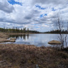 Gal&aring; Fj&auml;llg&aring;rd