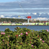 Getterön Marina