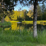 Hagens Camping