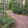 Mullsjö Camping