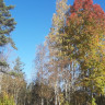 Rastplats H&auml;rje&aring;n