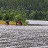 Persgård Camping