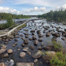 Slagnäsforsens Camping