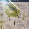M&aring;rdseleforsen