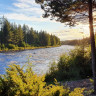 Sörälvens Fiske Camping &  stugby