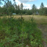 Sörälvens Fiske Camping &  stugby