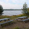 Kojbyns naturcamping