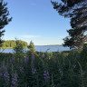 Töre Camping