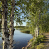 Töre Camping