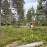Koppang Camping &amp; Hytteutleie
