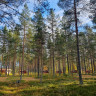Hennans Camping