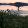 Gäddede Camping & Stugby