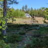 Nederh&ouml;gen Vildmarkscenter