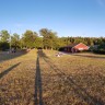 Rösjöbadens Camping - Seebad Liegewiese hinter dem Restaurant