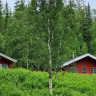 Sandvik Gjestegård & Camping