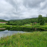 Sandvik Gjestegård & Camping