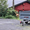Austrått Camping & Motel, Ørland