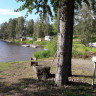 Hälle Fishing Camp