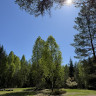 Nya Skogsg&aring;rden Camping &amp; Hostel