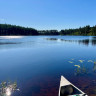 Nya Skogsg&aring;rden Camping &amp; Hostel