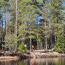 Nya Skogsg&aring;rden Camping &amp; Hostel