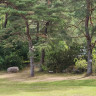 Almöns Bad & Camping