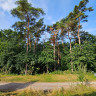 Gullmarsbadens Camping
