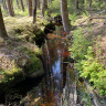 Ölsjöbadets Camping