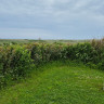 Bovbjerg Camping