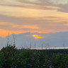 Bovbjerg Camping