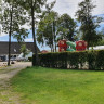 Aarø Camping