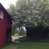 Røste Hyttetun & Camping