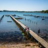 S&oslash;nderballe Strand Camping