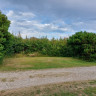 Skagen Camping