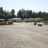 Vejers Familie Camping