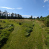 Blokhus Natur Camping