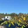Blokhus Natur Camping