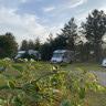 Blokhus Natur Camping