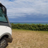 Ballen Strandcamping