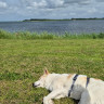 Tambosund Camping