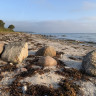 Grønnehave Strand Camping