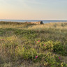 Nyborg Strandcamping