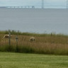 Tårup Strand Camping