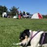 Thorsminde Camping and motorhomespot