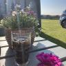Thorsminde Camping and motorhomespot